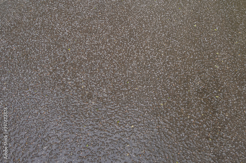 abstract background of wet asphalt texture after rain with hail close up