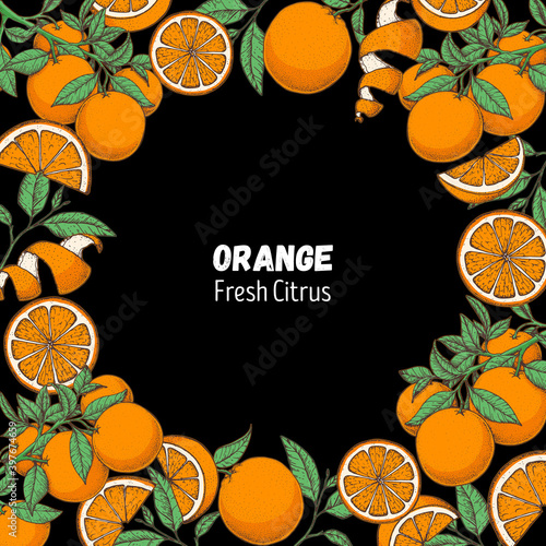 Orange hand drawn illustration.Sketch vector illustration. Orange border. Can used for packaging design. Orange citrus food. Combined design with sketch and colorful drawing.
