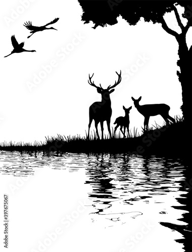 Silhouette deer in the forest