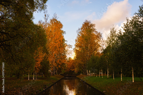 Autumn in the Moscow Victory Park in St. Petersburg  Russia. Trees are reflected in the water