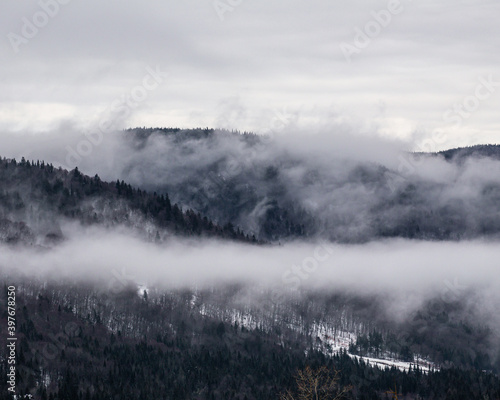 winter autumn fog mountains tree