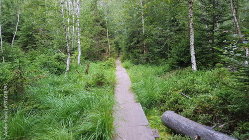 The Stołowe Mountains, Góry Stołowe, Stolové hory, Heuscheuergebirge - part of the Sudetes. The Polish part of the range is protected as the Stołowe Mountains National Park photo