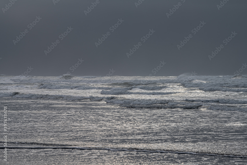 Fototapeta premium Beach at the Westport Light State Park, WA