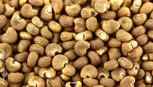 Photos Closeup on Ambtrette Seed Background.