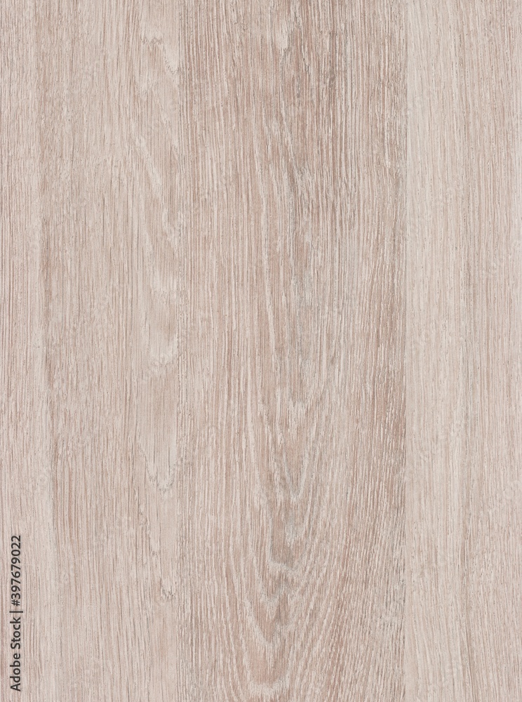 Naklejka premium The texture of freshly cut wood. Annual rings and cracks in the old tree. Horizontal wooden background. Texture in high resolution. Color image.