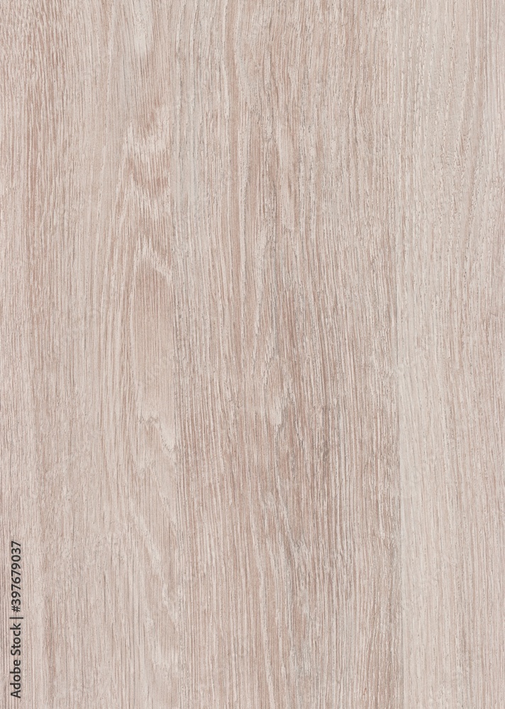 Obraz premium The texture of freshly cut wood. Annual rings and cracks in the old tree. Horizontal wooden background. Texture in high resolution. Color image.