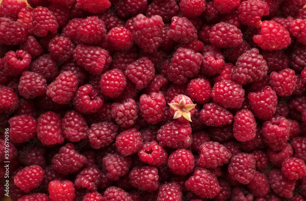 Ripe raspberries close-up macro photography, selective focus, fruit background Ripe raspberries close-up macro photography, selective focus, fruit background