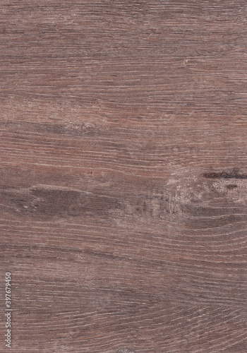 The texture of freshly cut wood. Annual rings and cracks in the old tree. Horizontal wooden background. Texture in high resolution. Color image.