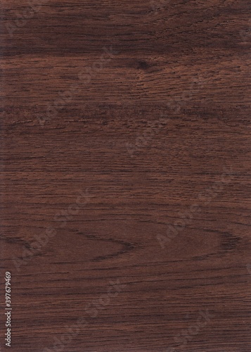 The texture of freshly cut wood. Annual rings and cracks in the old tree. Horizontal wooden background. Texture in high resolution. Color image.