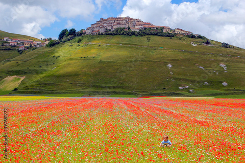 Un niño en medio a las amapolas. Panorama de Casteluccio di Norcia antes de su destrucción en el terremoto del 2016 photo