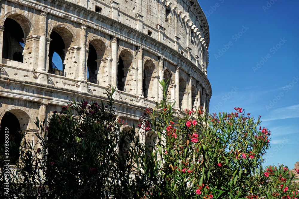 Obraz premium Colosseum in Rome