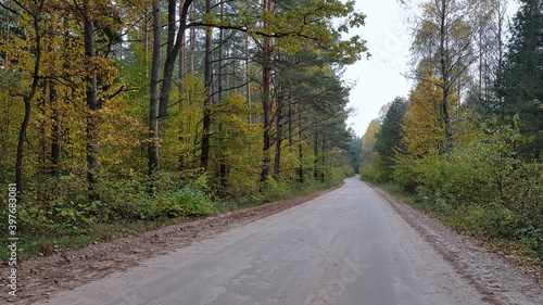 a typicall road in podlasie (poland) © Konrad_elx