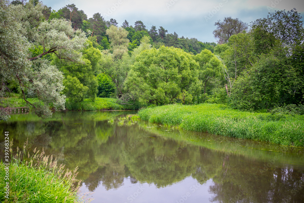 Beautiful summer landscape with river and trees. - obrazy, fototapety, plakaty 