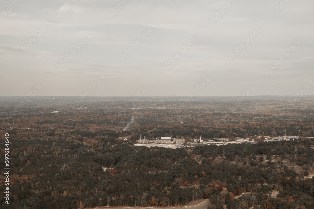 Skyline View of a Forest on a Cloudy Day