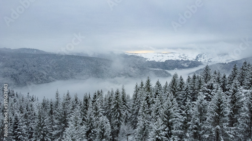 Schwarzwald Wald im Winter bei Schnee und Nebel mit Drohne
