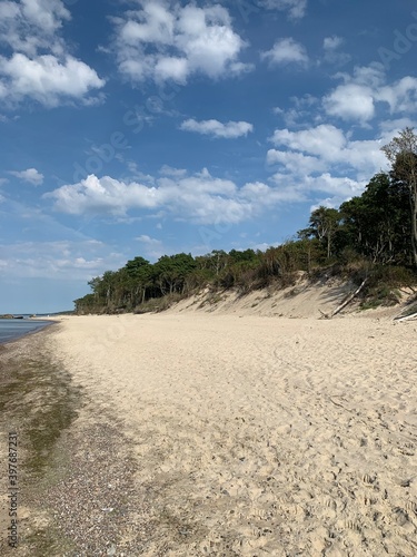 Fototapeta Naklejka Na Ścianę i Meble -  beach with palm trees