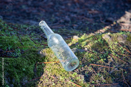 empty discarded glass bottle lies on a forest floor