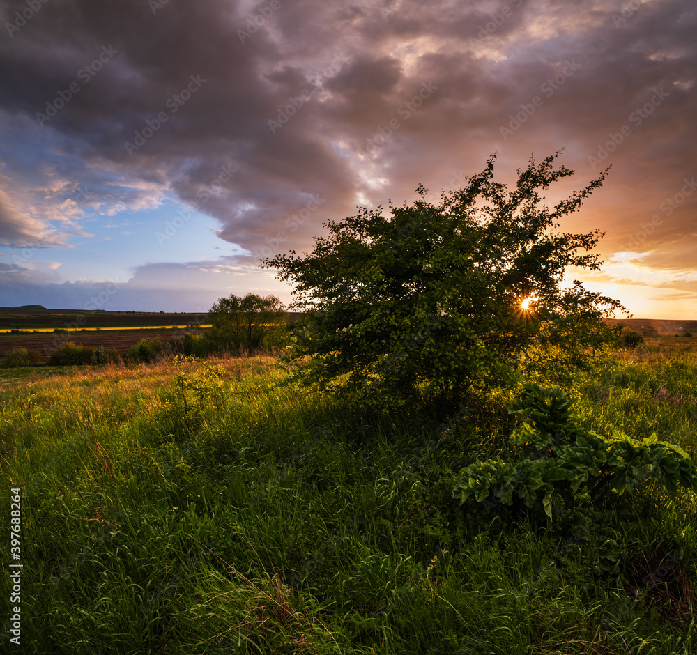 Spring evening meadow after rain, cloudy sunset sky with sunshine through bush branches, rural hills and fields in far. Natural seasonal, weather, climate, travel, countryside beauty concept scene. Spring evening meadow after rain, cloudy sunset sky with sunshine through bush branches, rural hills and fields in far. Natural seasonal, weather, climate, travel, countryside beauty concept scene.