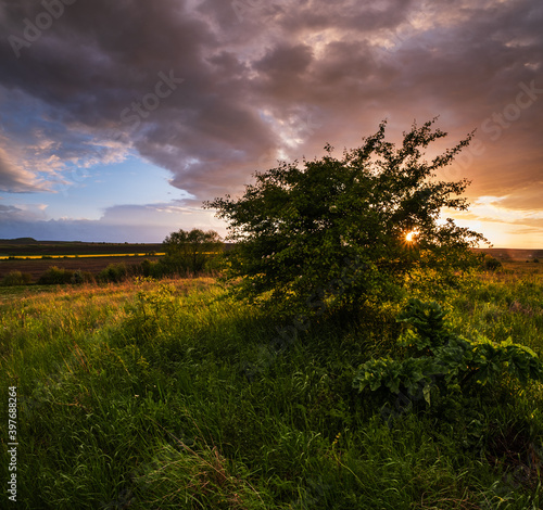 Spring evening meadow after rain, cloudy sunset sky with sunshine through bush branches, rural hills and fields in far. Natural seasonal, weather, climate, travel, countryside beauty concept scene.