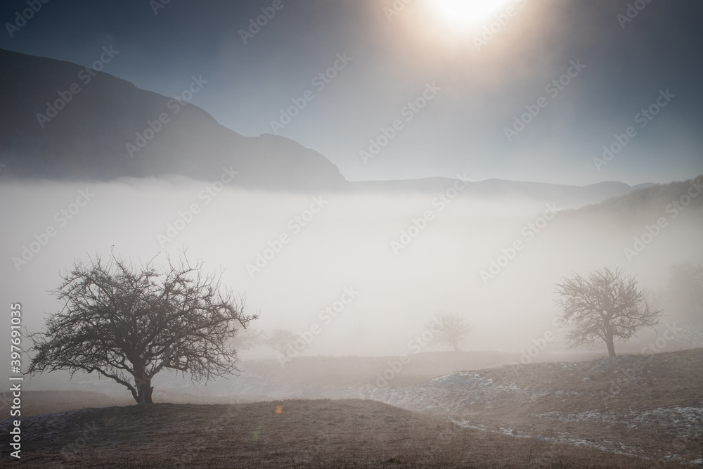amazing winter landscape with fog and frosty trees in Romania amazing winter landscape with fog and frosty trees in Romania