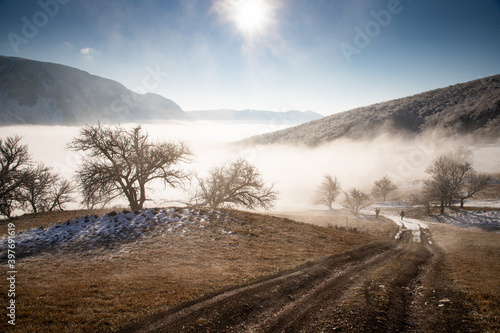 amazing winter landscape with fog and frosty trees in Romania © Melinda Nagy