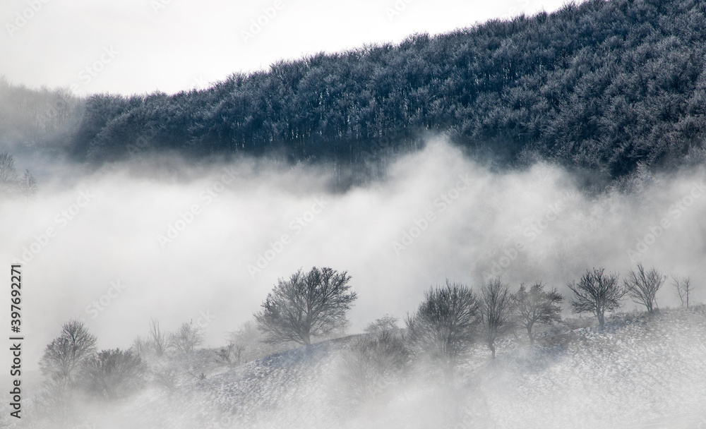 amazing winter landscape with fog and frosty trees in  Romania