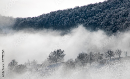 amazing winter landscape with fog and frosty trees in Romania