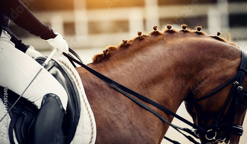 Braided mane on the neck of a red dressage horse at a competition. Equestrian sport.