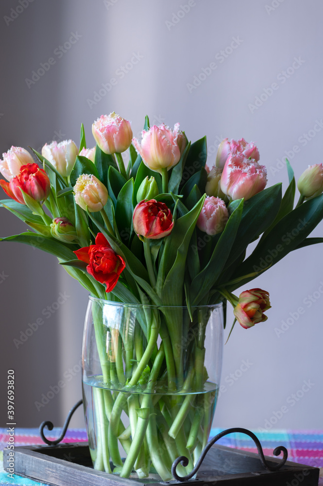 Spring bouquet with licht pink fresh garden tulips Spring bouquet with licht pink fresh garden tulips