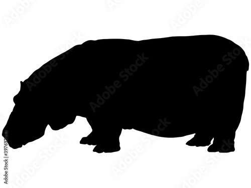 カバシルエット_1