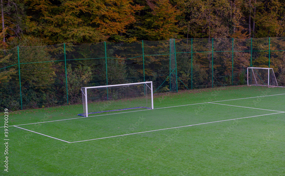 Fototapeta premium football field with