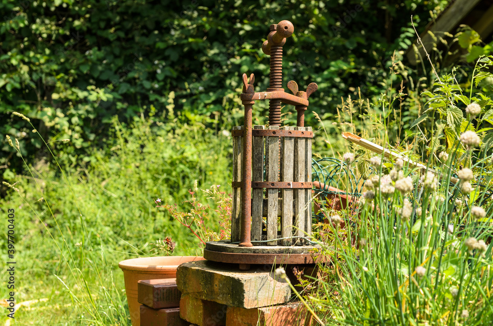 old small wooden fruit press
