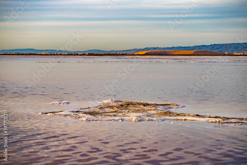 Beach Landscape at the Alviso Salt Flats photo