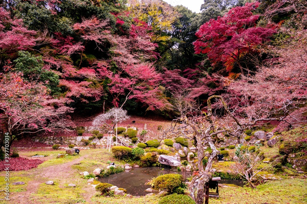 田川郡川崎の紅葉


