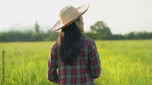 Back view a female farmer walks along the road along the organic paddy rice farmland