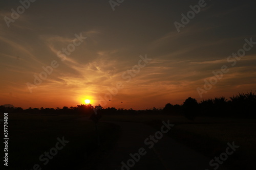 Wallpaper Mural Beautiful light from sunrise in the morning Torontodigital.ca