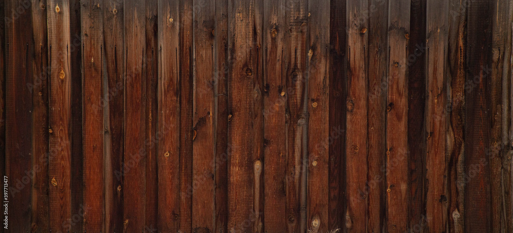 Obraz premium tree texture