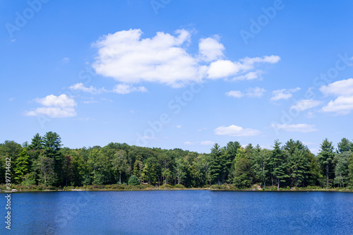 lake in the forest