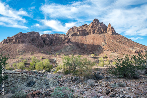 An overlooking view of nature in Yuma, Arizona