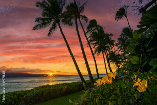 Sunset in Hawaii with yellow flowers