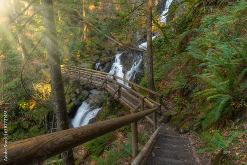 Hiking bridge over waterfall in magical forest on Hamilton Mountain in the Columbia River Gorge, Washington, Pacific Northwest photo