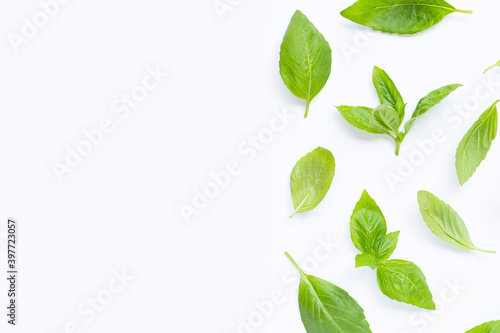 Fresh basil leaves on white background. Copy space