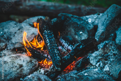 Vivid smoldered firewoods burned in fire close-up. Atmospheric warm background with orange flame of campfire. Unimaginable full frame image of bonfire. Burning logs in beautiful fire. Wonderful flame.