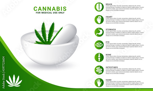 concept of cannabis for medical uses infographic