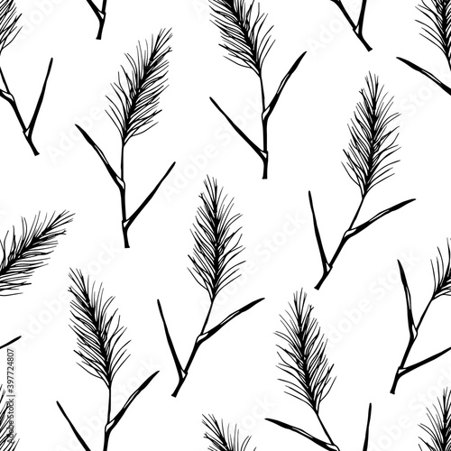 Simple hand-drawn floral vector seamless pattern in black outline. Panicle inflorescences, pampas grass, reeds on a white background. For prints of fabric, wallpaper, textile products.