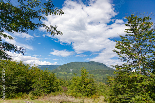 Mountain green peaks against the blue sky with clouds, in the foreground grows green shrubs and trees, use as a background or texture