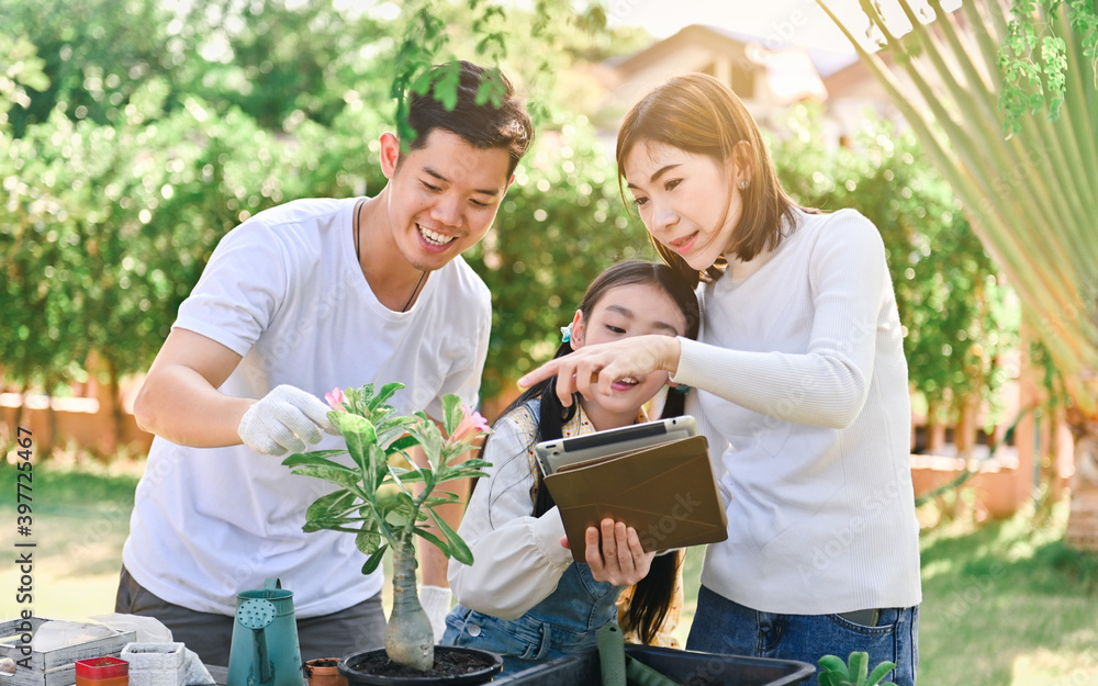 The family planted flowers in the backyard. Family leisure activities concept. The family planted flowers in the backyard. Family leisure activities concept.