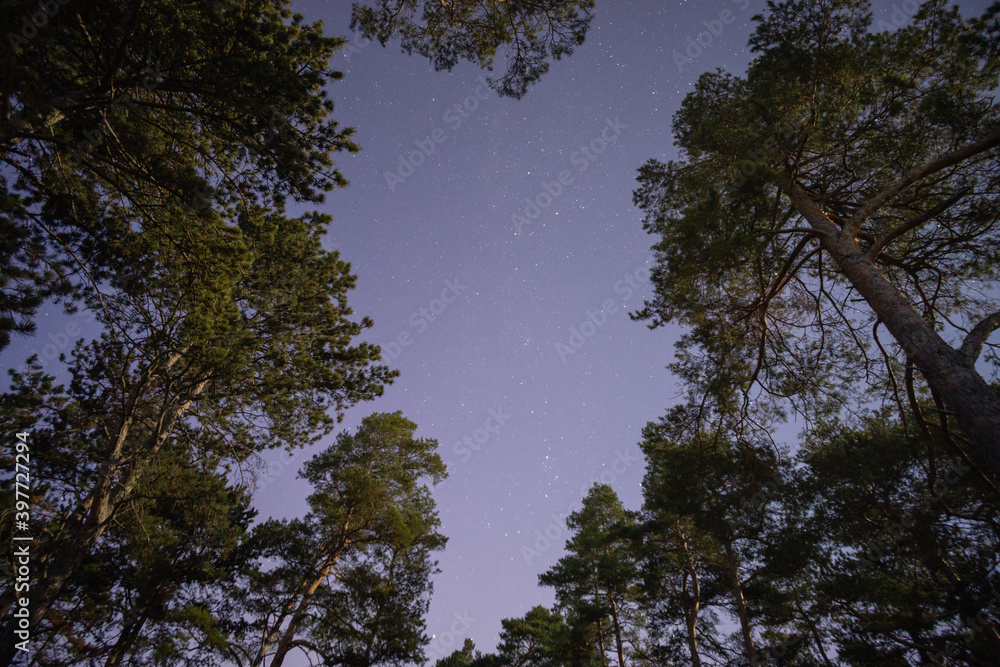 Landschaft bei Nacht Landschaft bei Nacht