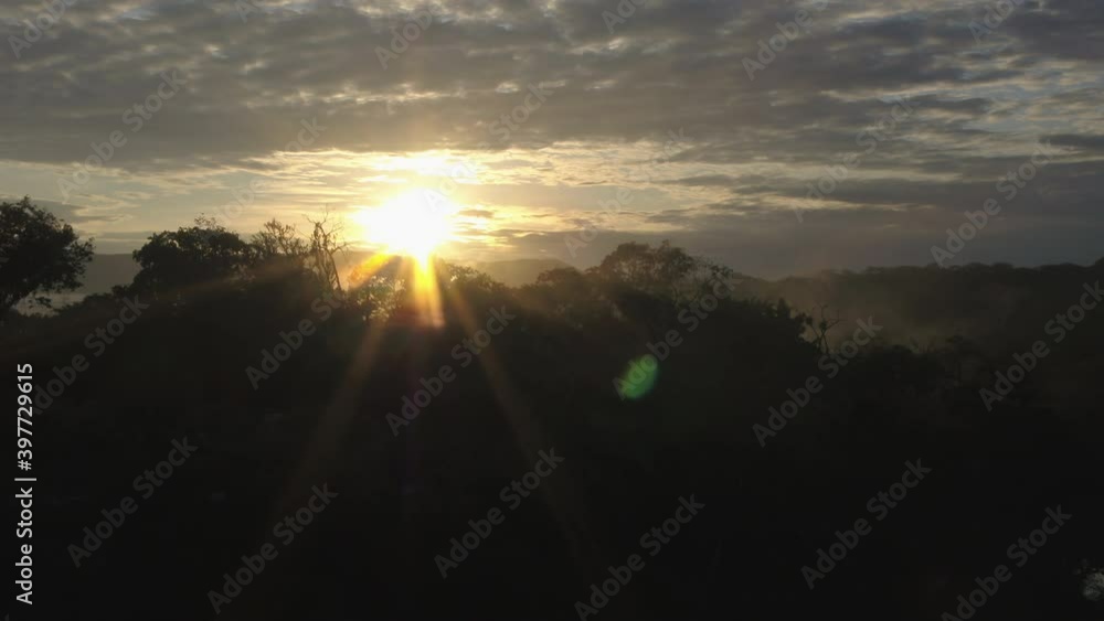amanecer en el bosque, vuelo aéreo sobre la copa de los arboles con un increíble amanecer amanecer en el bosque, vuelo aéreo sobre la copa de los arboles con un increíble amanecer