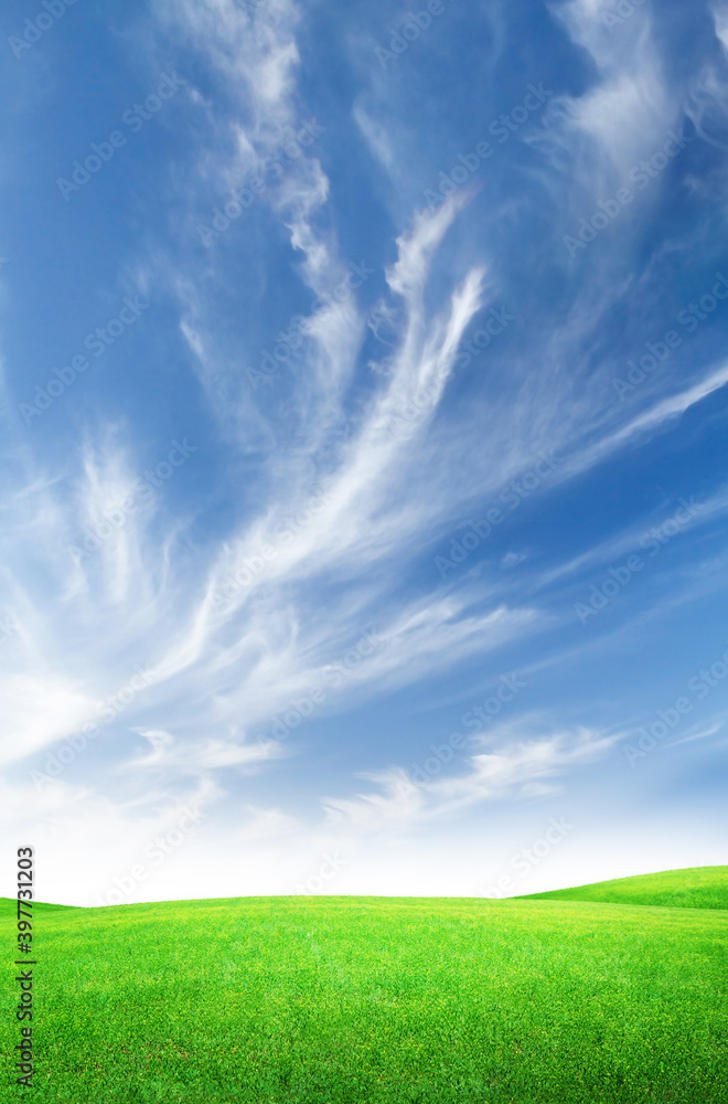 Green grass field and blue sky